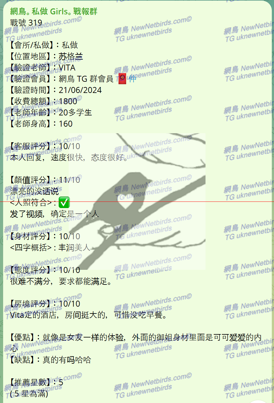 戰號 319 1.png